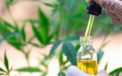 9 CBD-öljyn terveyshyötyä – ja sivuvaikutuksia