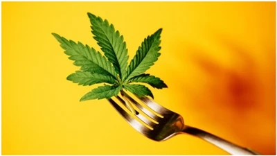 CBD:n UKK