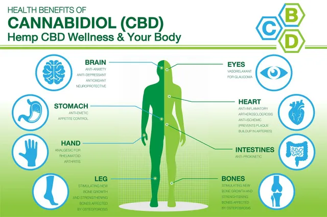 CBD-öljyn 5 parasta terveyshyötyä – ja sivuvaikutuksia