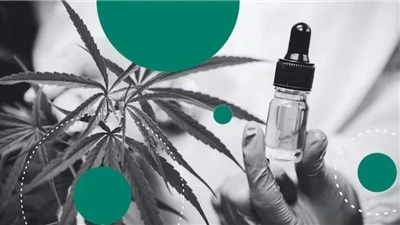 Hamppu vs CBD: Mikä ero on?