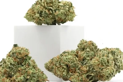 Miksi CBD tekee parhaista luonnollisista huulivoimista