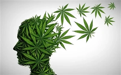 Kuinka käyttää CBD-öljyä optimaalisiin hyötyihin: täydellinen opas?